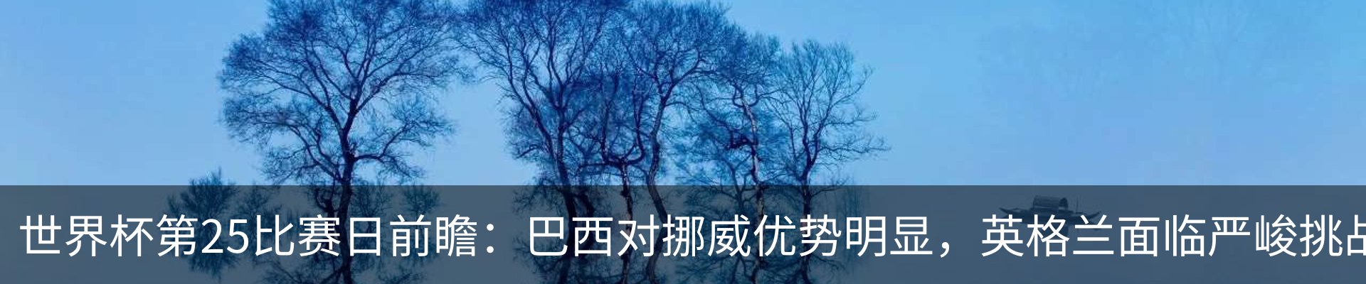 新闻动态