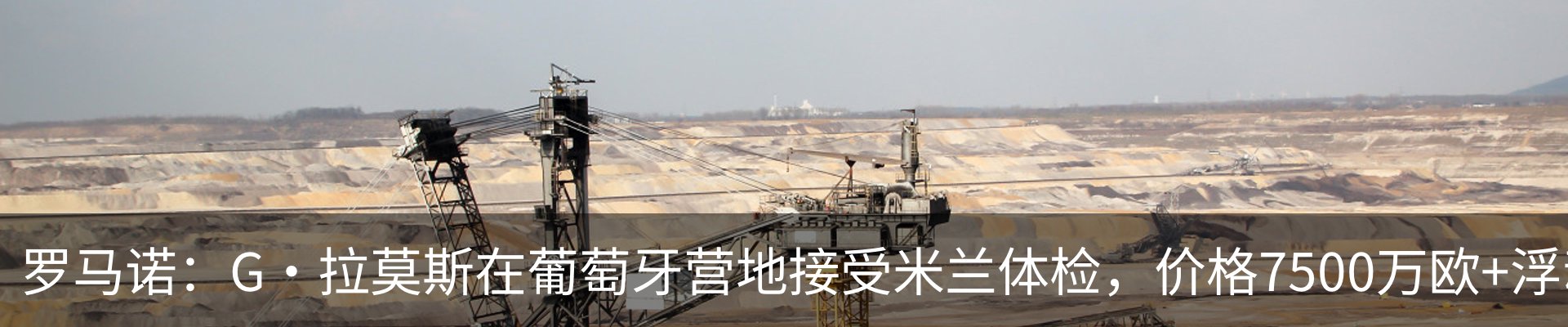 新闻动态